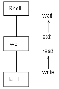 .    shell ()